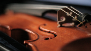 Violin Strings Made by Spiders Sound Smooth as Silk